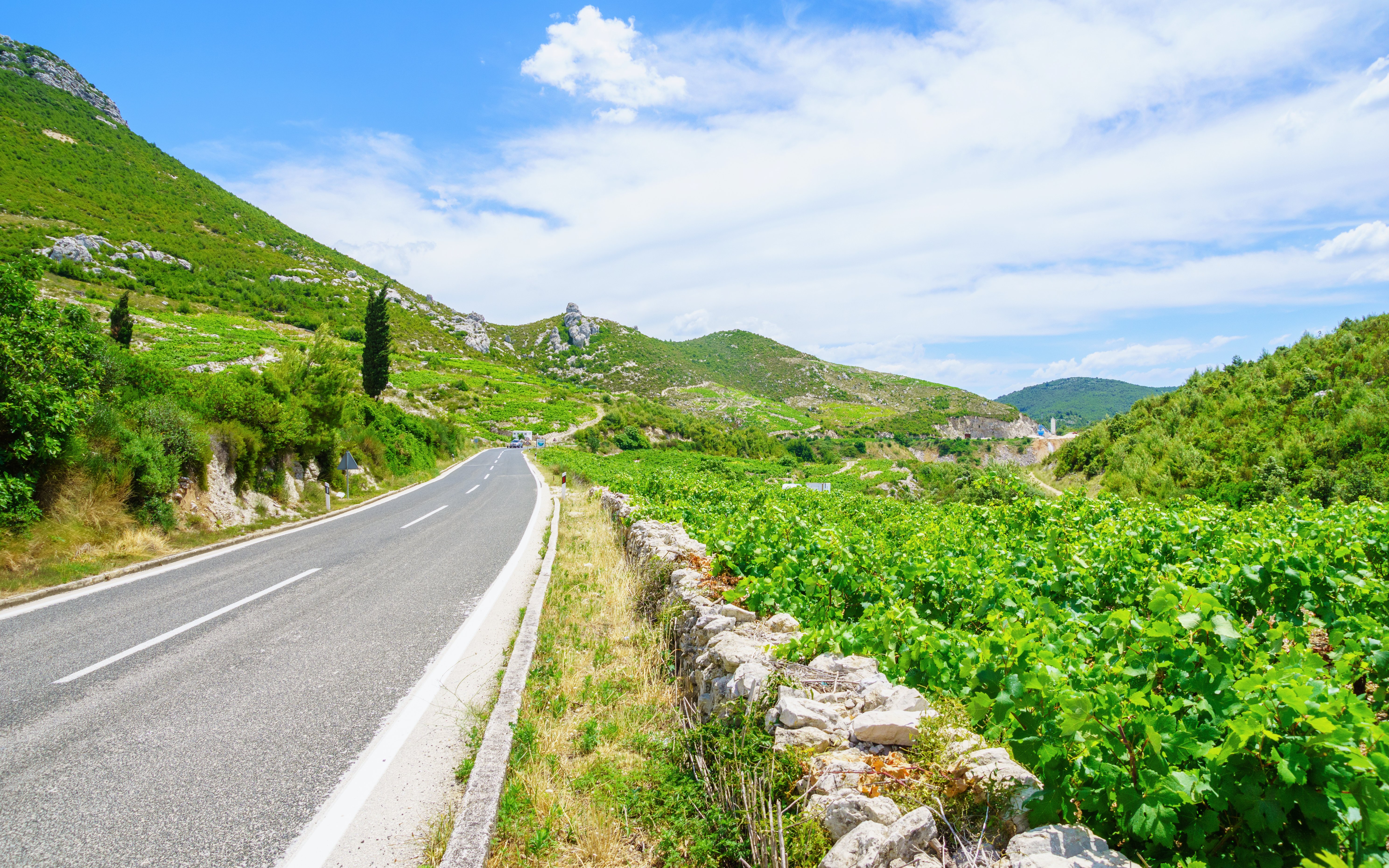Road through lush vineyards on Peljesac Peninsula, Croatia.