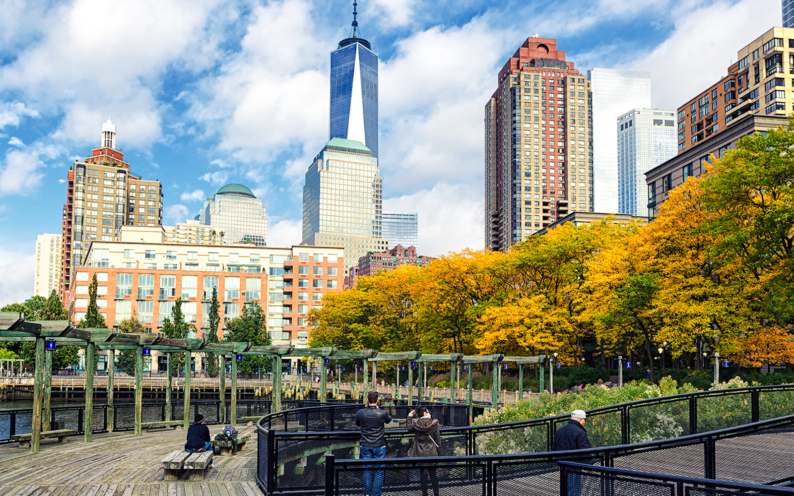 Skyline view from South Cove Park with autumn trees and waterfront walkway.
