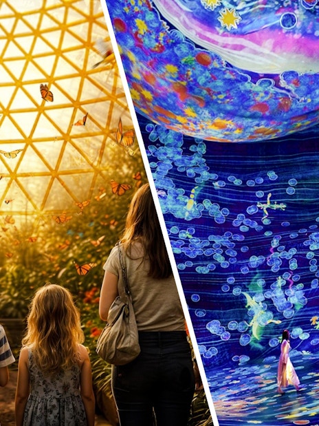 Children observing butterflies in a domed garden at The Butterfly Garden.