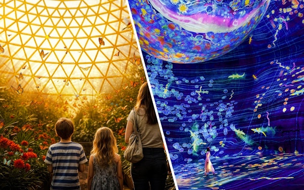 Combo: Butterfly Gardens + teamLab Phenomena Abu Dhabi Tickets