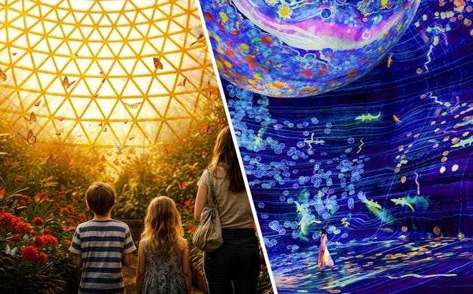 Children observing butterflies in a domed garden at The Butterfly Garden.