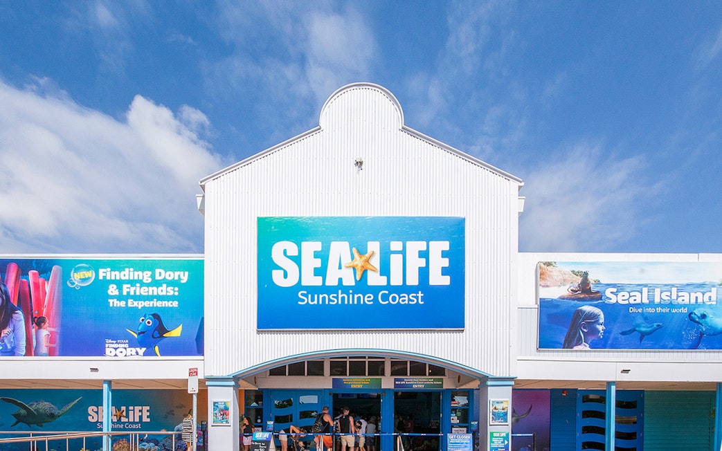 Entrance to SEA LIFE Sunshine Coast with promotional banners for exhibits.