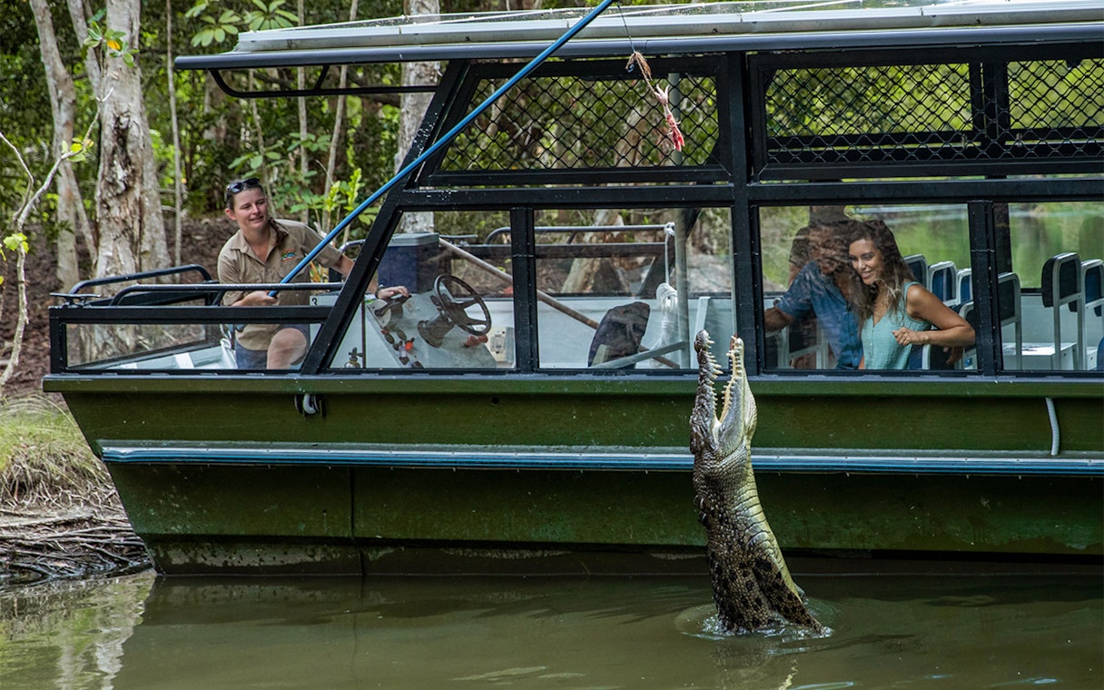 Tourists on a boat watch a crocodile jump for food at Hartley's Crocodile Adventures.