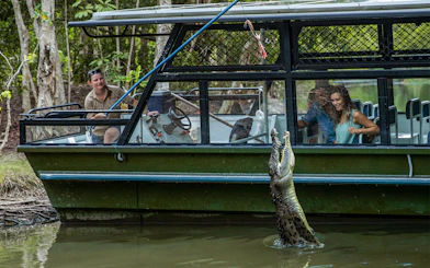 Tourists on a boat watch a crocodile jump for food at Hartley's Crocodile Adventures.