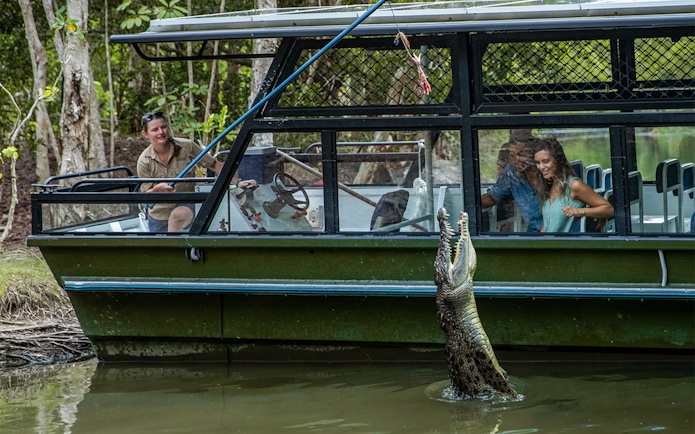 Tourists on a boat watch a crocodile jump for food at Hartley's Crocodile Adventures.