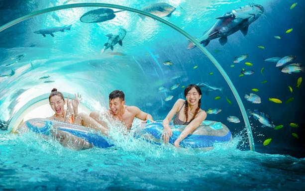 Visitors enjoying a tube ride through an underwater tunnel at Adventure Cove Waterpark, Singapore.