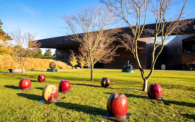 de Young Museum Tour