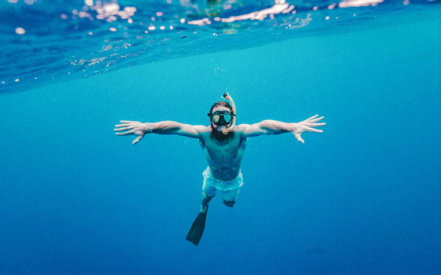 Snorkeler exploring underwater at Kealakekua Bay during catamaran cruise.