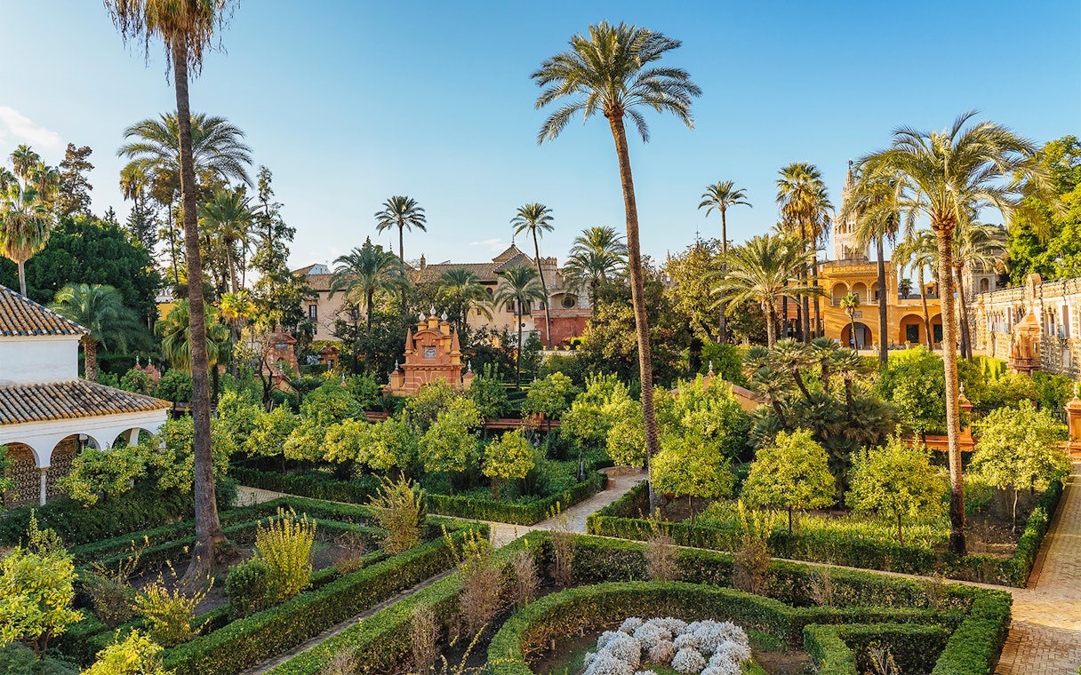 Alcazar of Seville gardens with palm trees and historic architecture in the background.