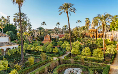 Alcazar of Seville gardens with palm trees and historic architecture in the background.