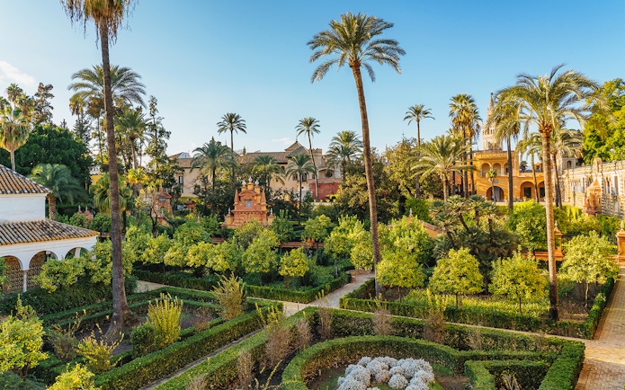 Alcazar of Seville gardens with palm trees and historic architecture in the background.