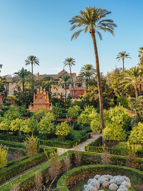 Alcazar of Seville gardens with palm trees and historic architecture in the background.