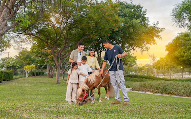 Family interacting with a pony at Al Wadi in Dubai Safari Park.