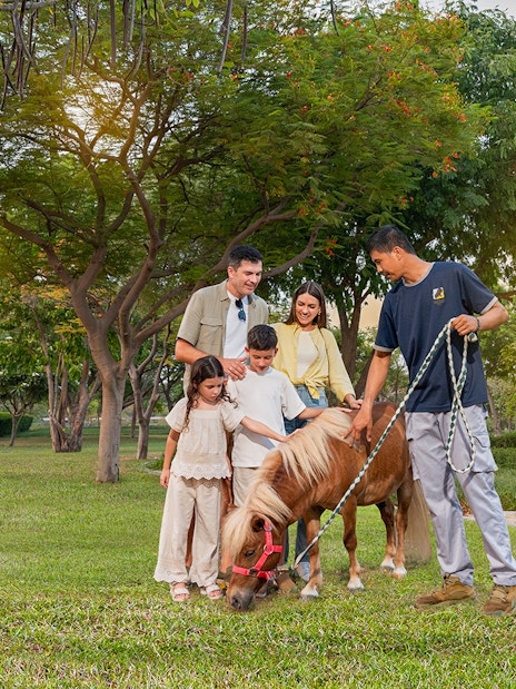 Family interacting with a pony at Al Wadi in Dubai Safari Park.