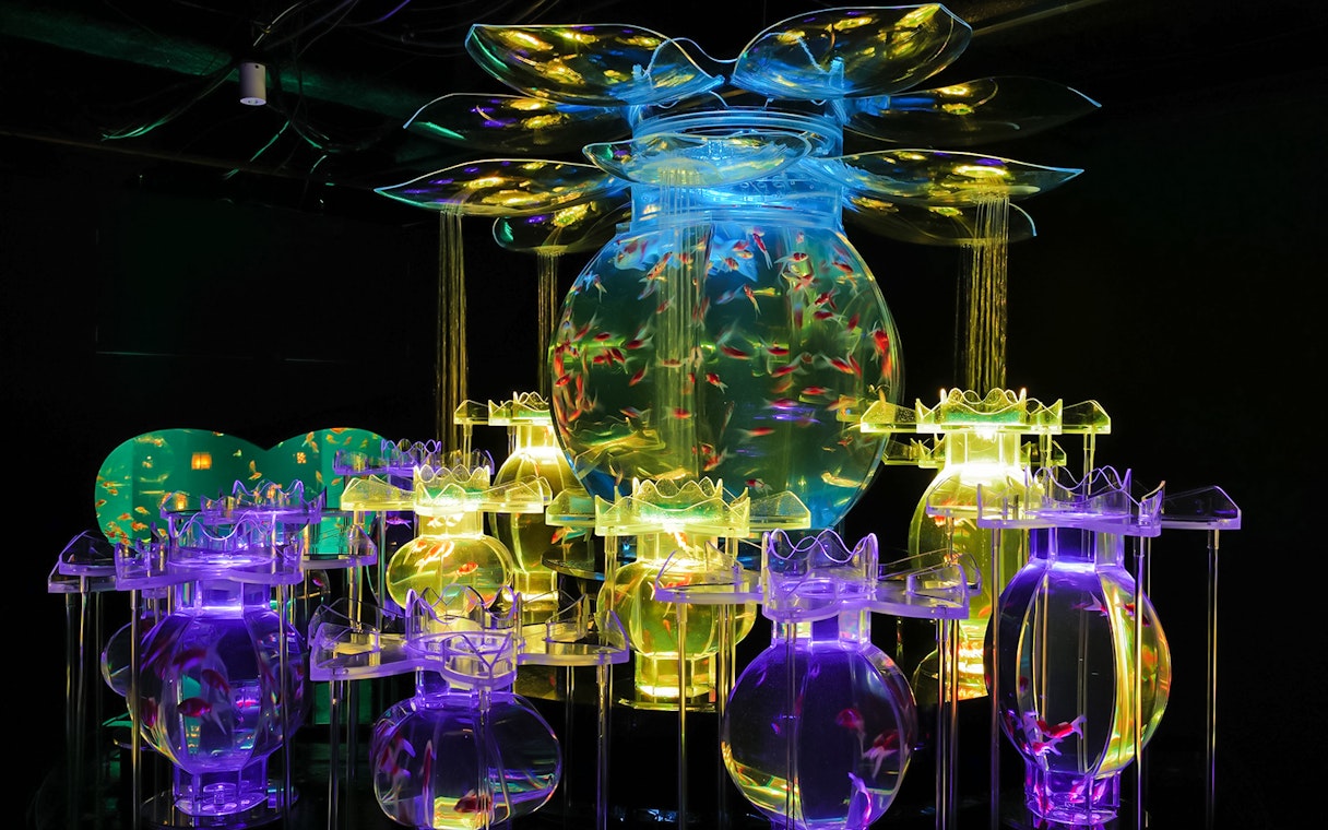 Goldfish aquariums in flower-shaped art installation at Art Aquarium Museum GINZA.