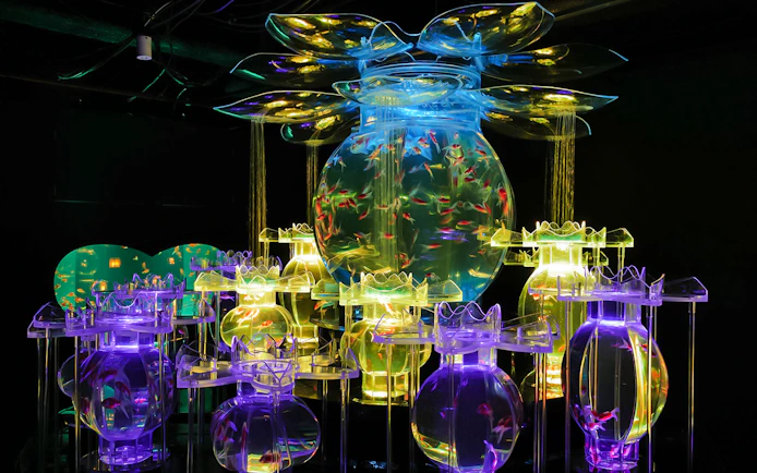 Goldfish aquariums in flower-shaped art installation at Art Aquarium Museum GINZA.