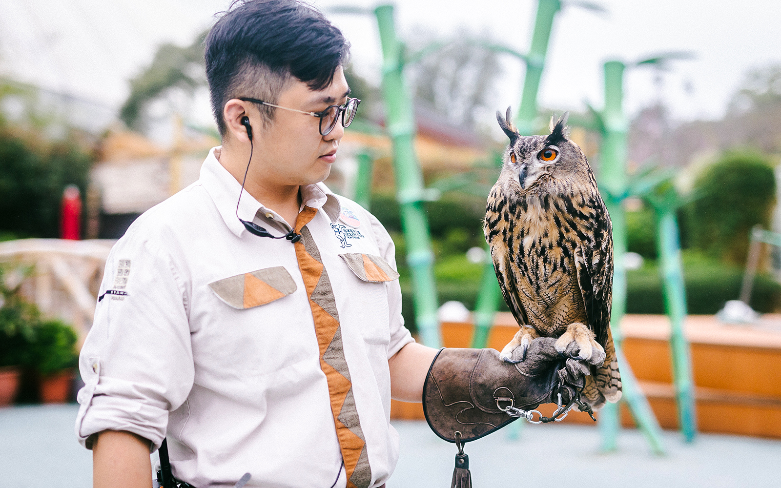 Ocean Park Hong Kong - Thrill Mountain