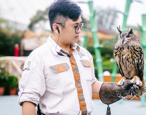 Ocean Park Hong Kong - Thrill Mountain