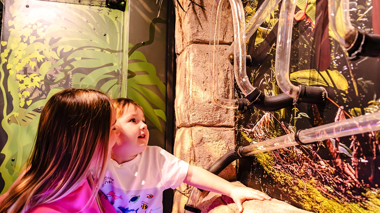 Guests exploring interactive exhibit at SEA Life Brighton.