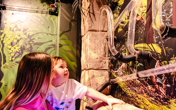 Guests exploring interactive exhibit at SEA Life Brighton.
