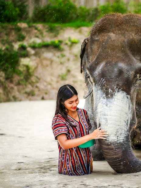 Woman applying mud to elephant at Elephant Jungle Sanctuary, Phuket, Thailand.