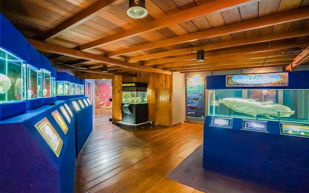 Aquarium exhibit with marine creature displays and educational panels.