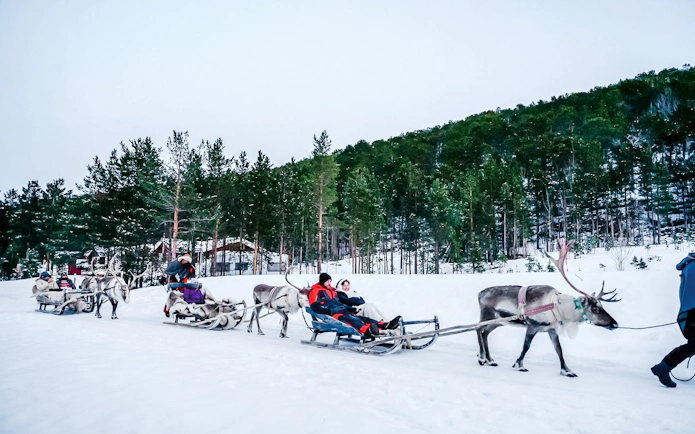 Guests sledding with reindeer through snowy forest during Sámi Culture Experience.