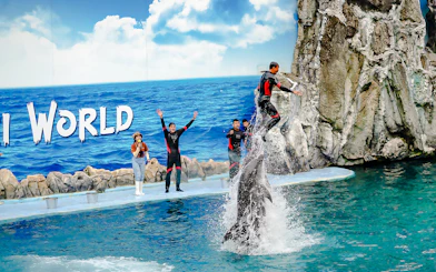 Trainer performing with dolphins at Marine Park show.