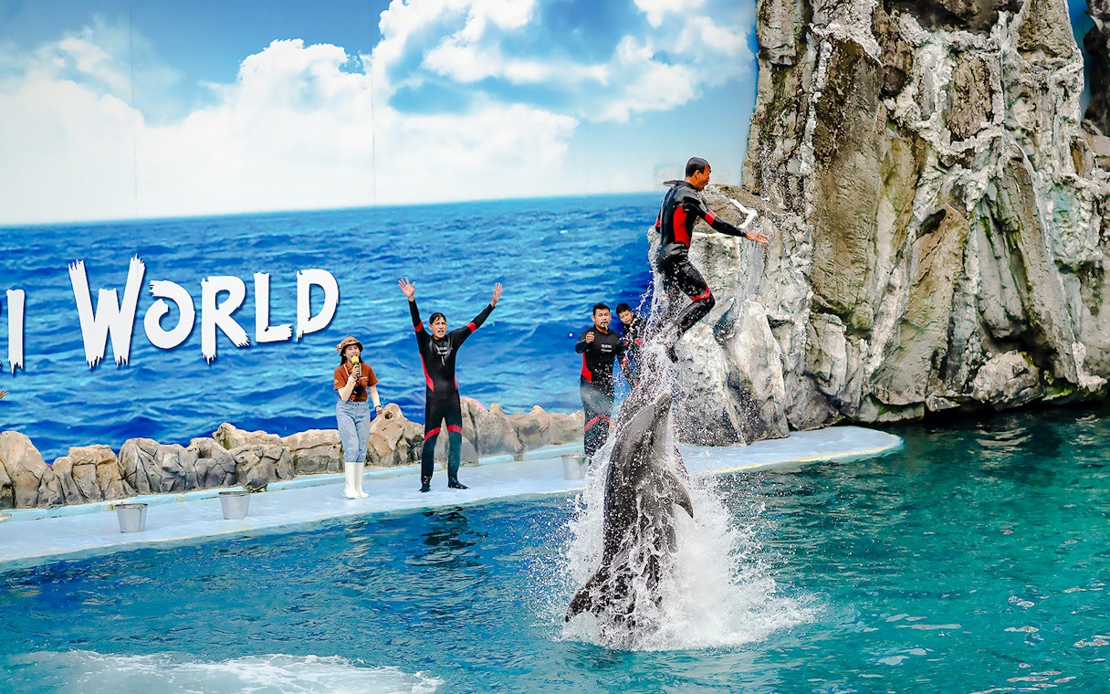 Trainer performing with dolphins at Marine Park show.