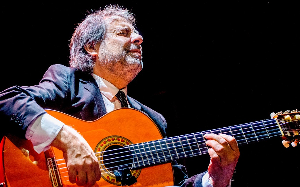 Flamenco guitarist performing at Esencia espectáculo flamenco.