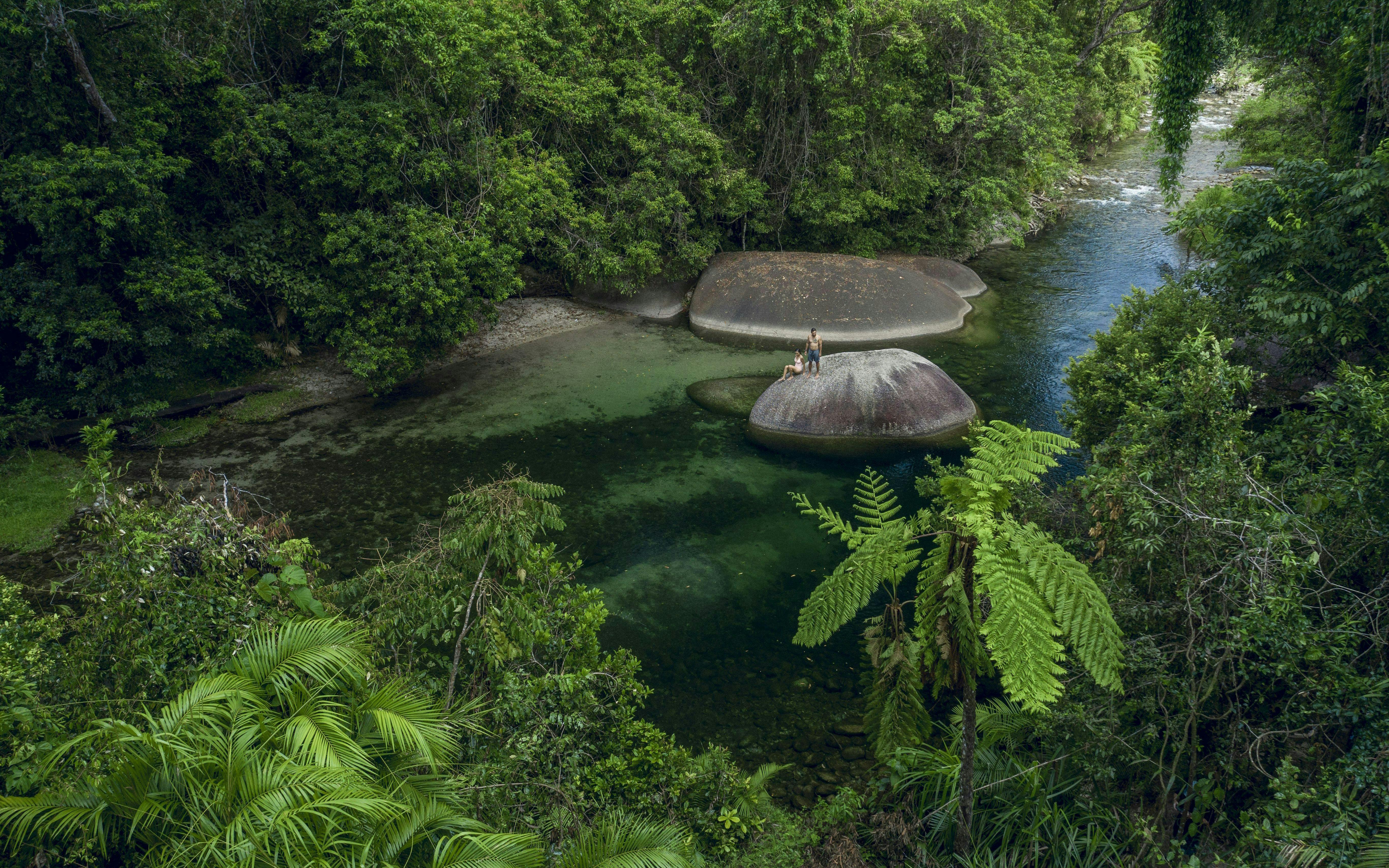 visite guidée de jour et nocturne à paronella park, sur la cassowary coast-3