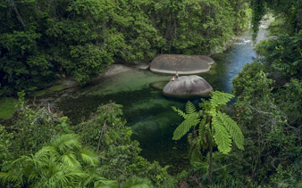 paronella park cassowary coast guided day and night tour-3