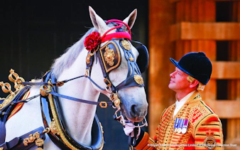 Royal guard in ceremonial attire with decorated horse at Changing of the Guard, London.