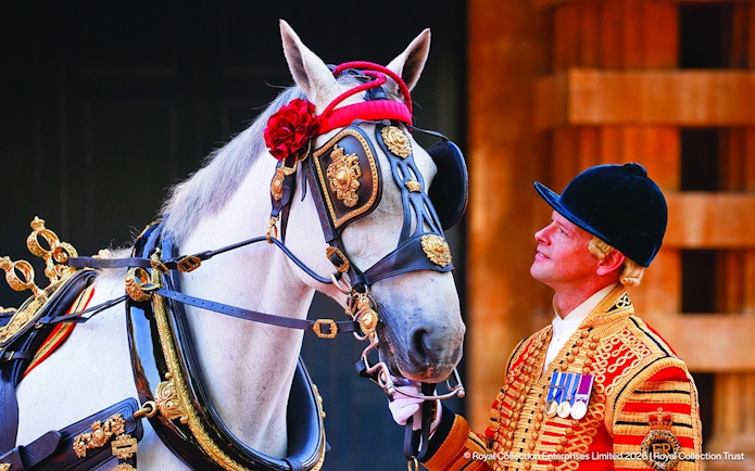 Royal guard in ceremonial attire with decorated horse at Changing of the Guard, London.