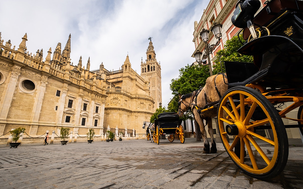 Seville Cathedral and horse-drawn carriage on a guided walking tour.