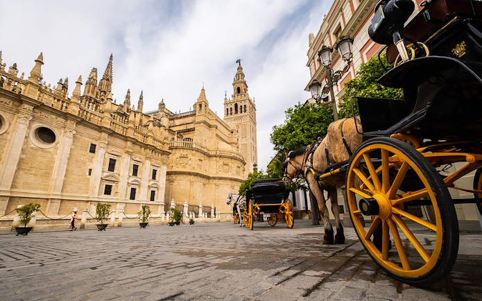 Seville Cathedral and horse-drawn carriage on a guided walking tour.