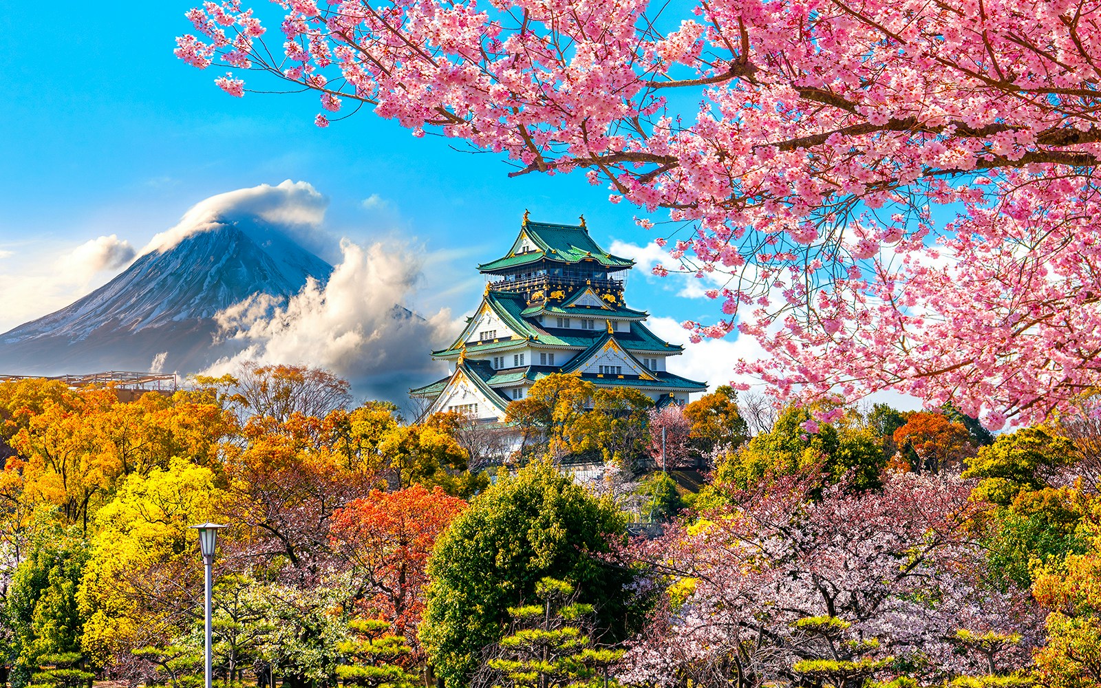 Osaka Castle with cherry blossoms and Mount Fuji in the background, Japan.