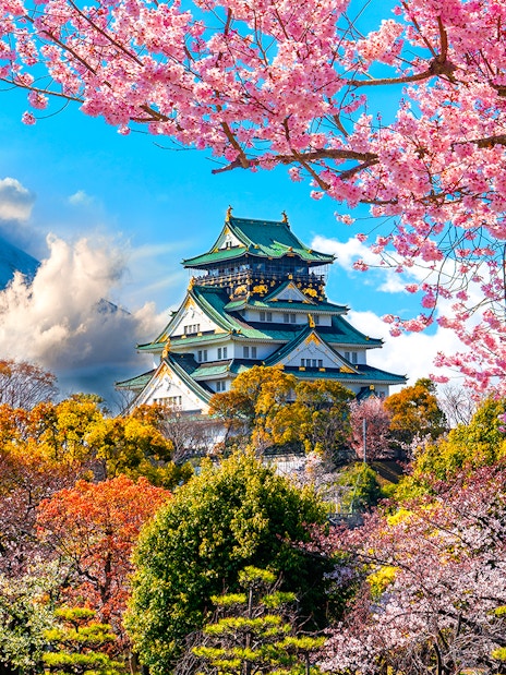 Osaka Castle with cherry blossoms and Mount Fuji in the background, Japan.