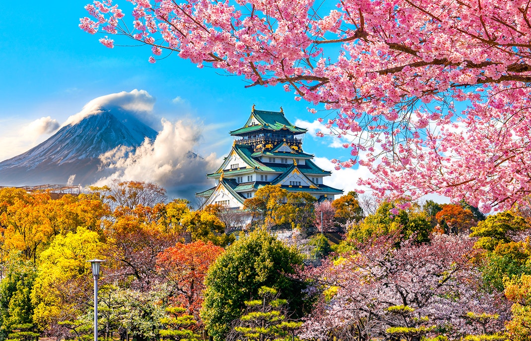 Osaka Castle and full cherry blossom, with Fuji mountain background, Japan.