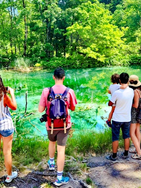 Visitors enjoying the scenic view of Plitvice Lakes National Park's vibrant green waters.