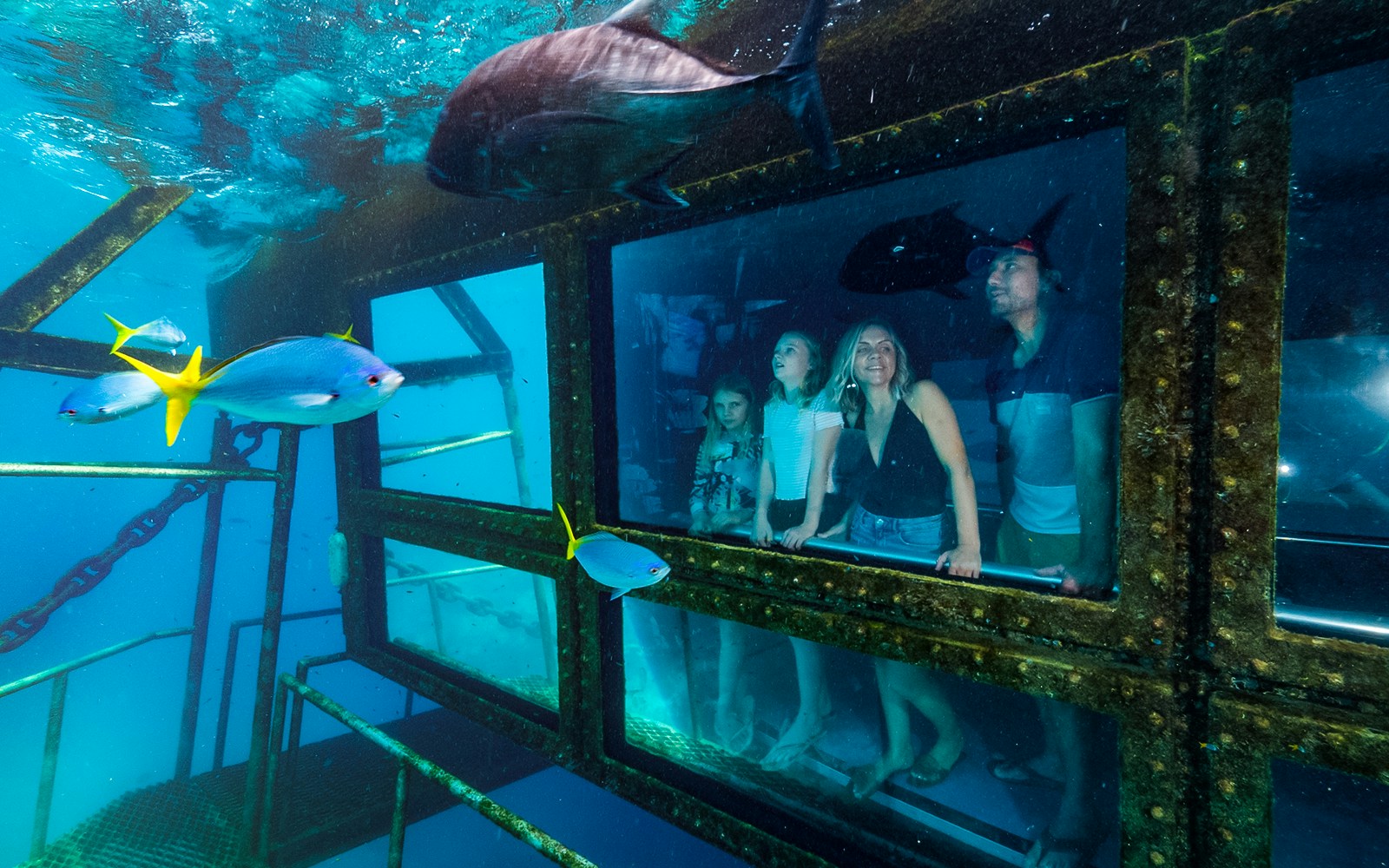 Tourists in a semi-submersible boat viewing marine life at the Great Barrier Reef.