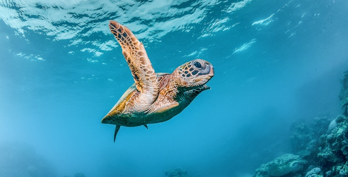 Acquario di Cattolica