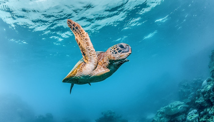 Visitors exploring marine life exhibits at Acquario di Cattolica, Italy.