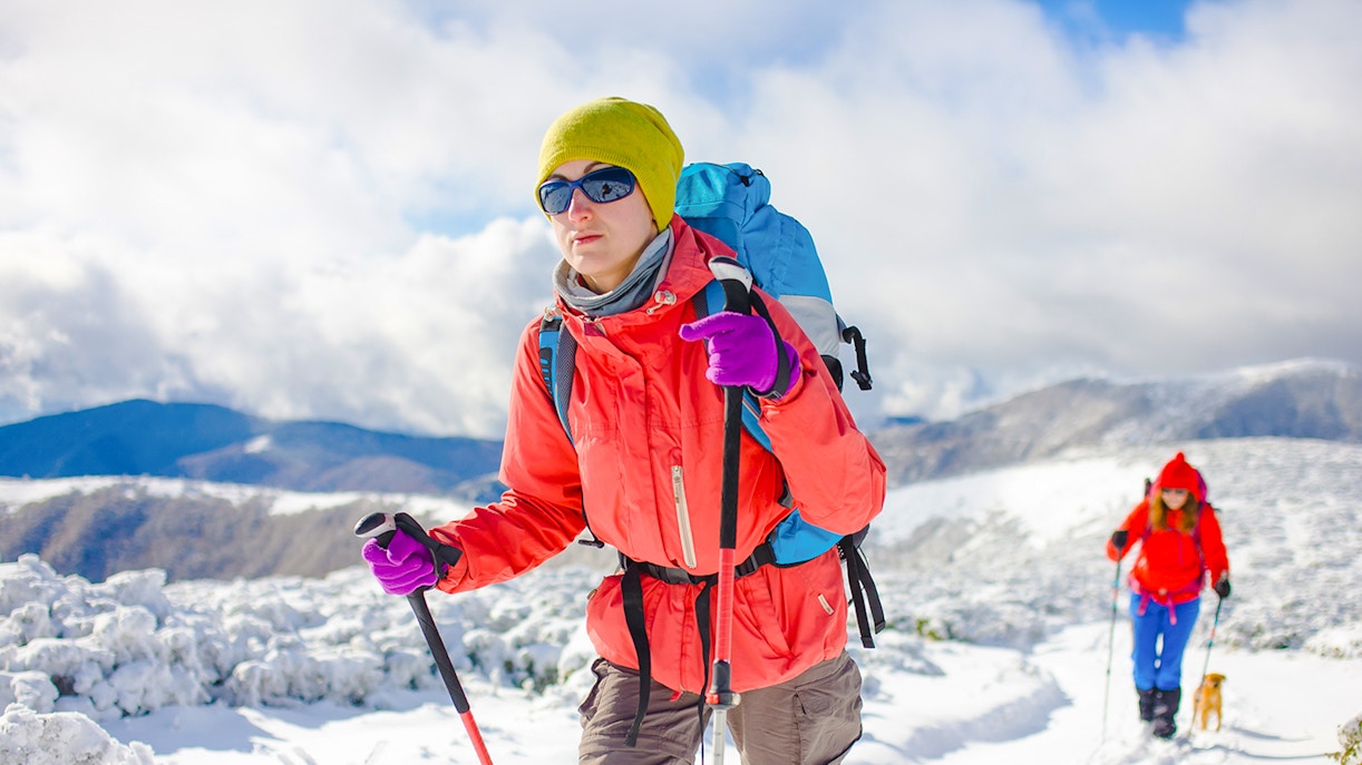 Fox Glacier heli hike tickets