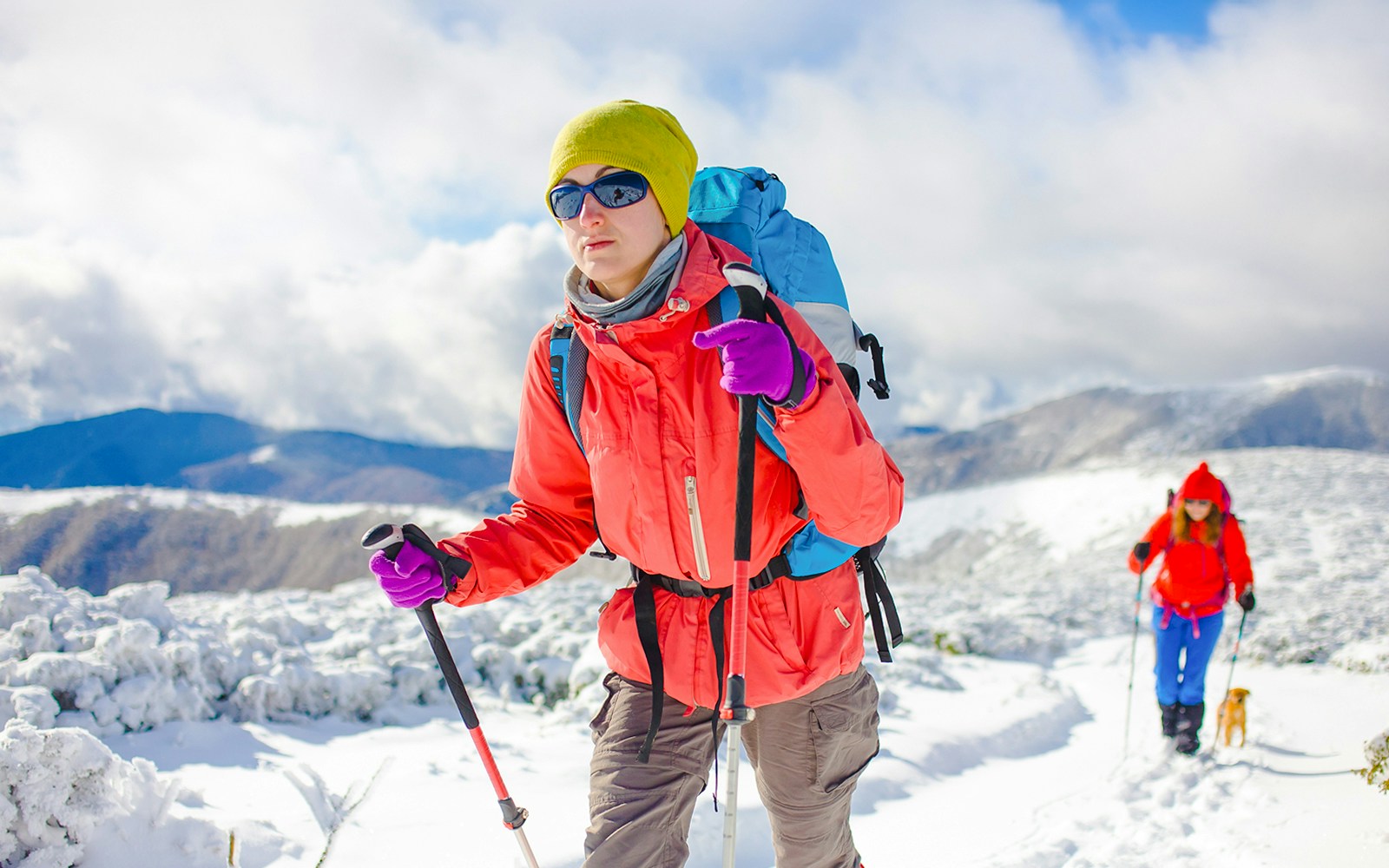 Franz Josef heli hike tickets