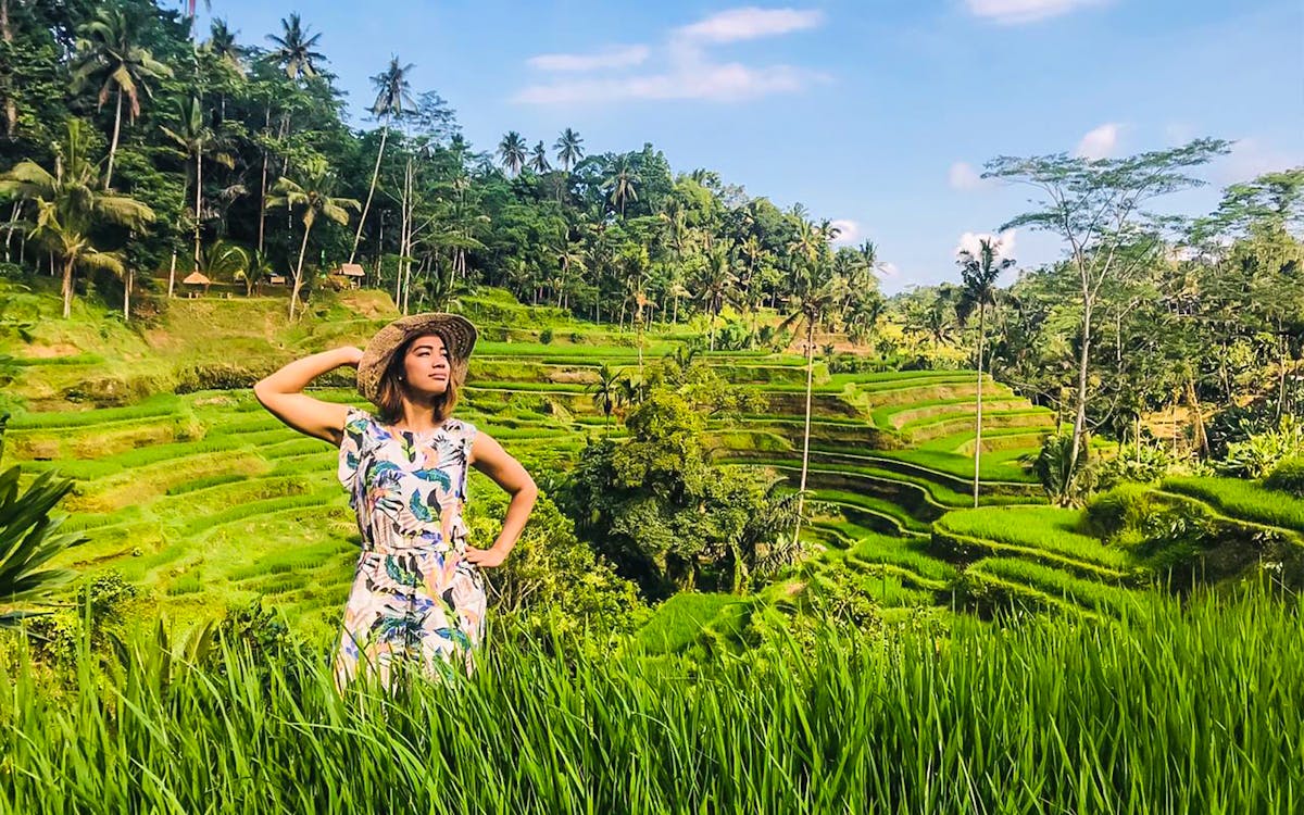 guided day tour of ubud with round-trip hotel transfers-5 guided day tour of ubud with round-trip hotel transfers-5
