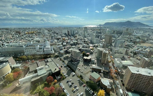 Aerial view of Hakodate cityscape from Goryokaku Tower, Japan.