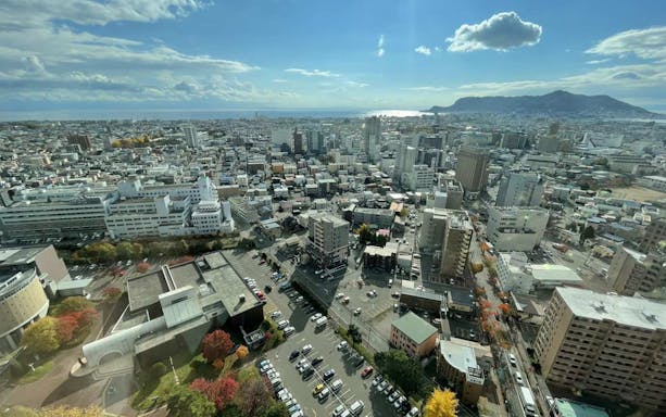 Aerial view of Hakodate cityscape from Goryokaku Tower, Japan.