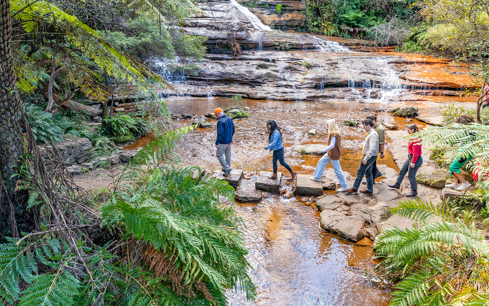 Blue Mountains Tour with Wentworth Falls, Guided Bushwalks & River Cruise