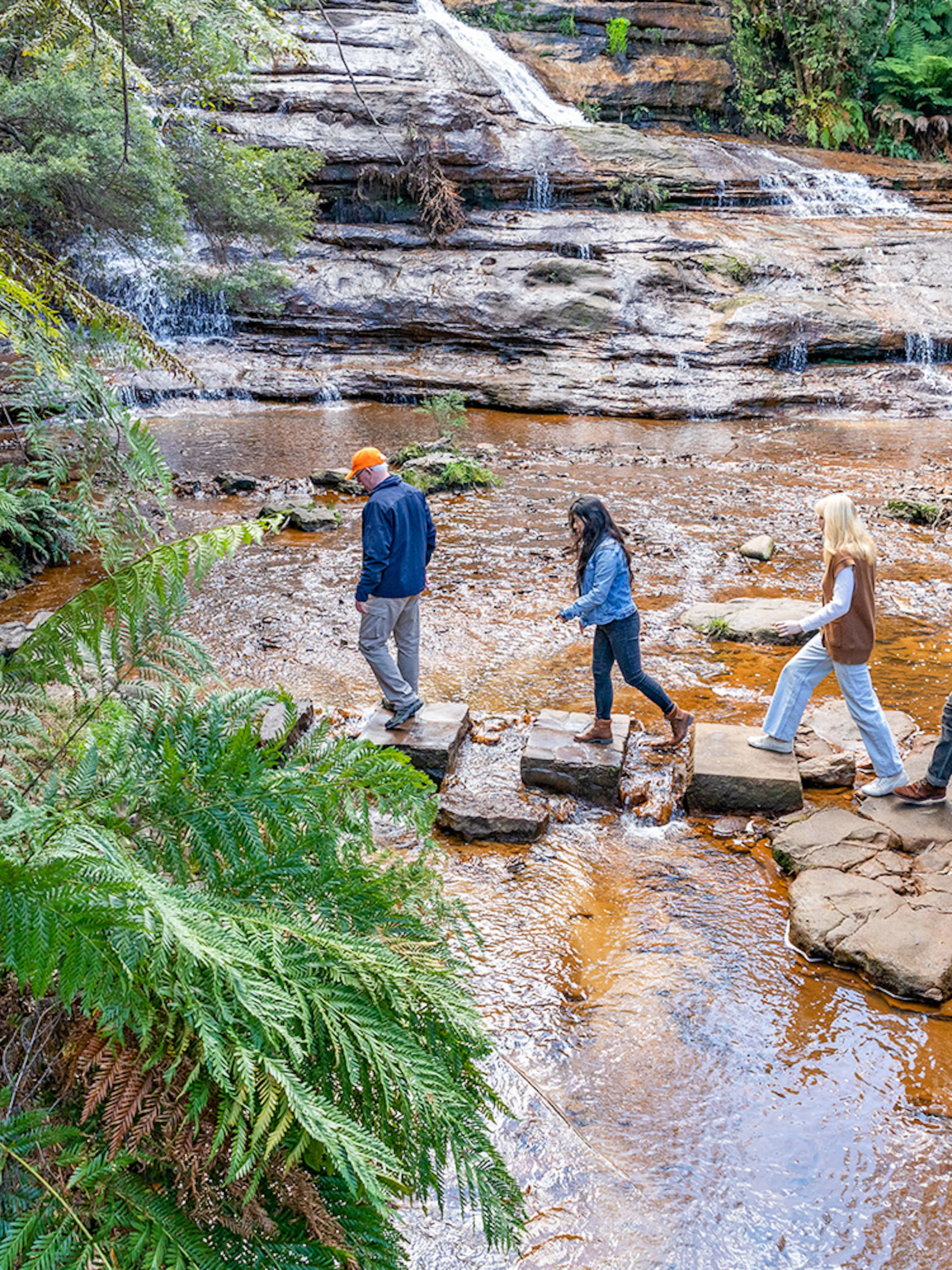 People crossing a stream on stepping stones during Blue Mountains tour.